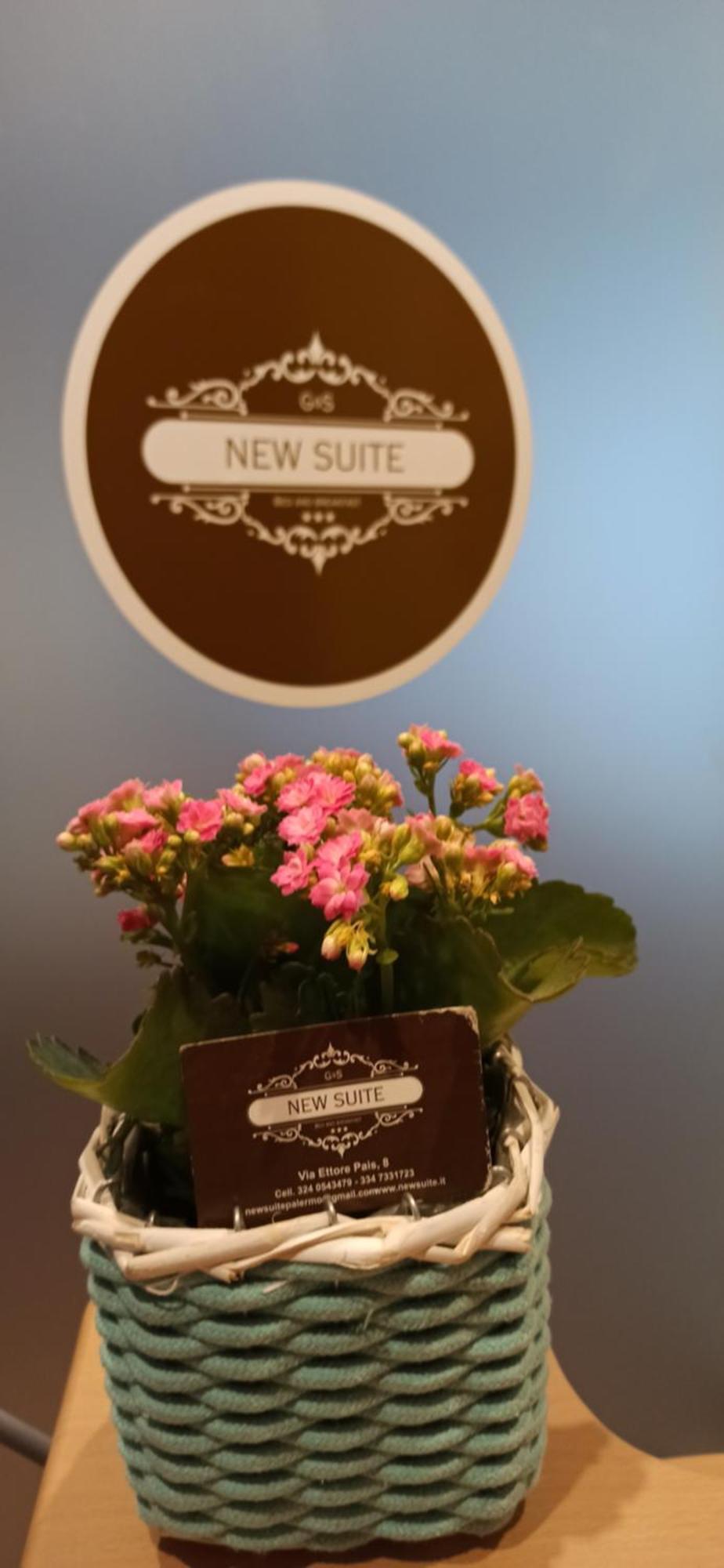 New Suite Палермо Экстерьер фото
